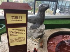 -太白山御龙湾温泉