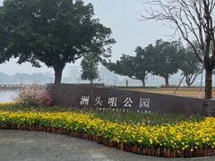 -洲头咀公园