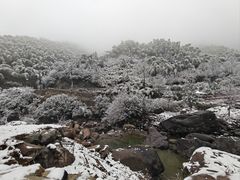 -安吉龙王山风景区
