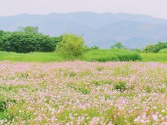 -良渚古城遗址公园