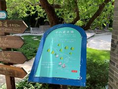 -云峰山自然风景区
