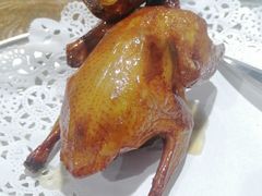 红烧乳鸽-石岐乳鸽村(南海第三分店)