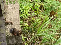 -重庆云阳龙缸景区