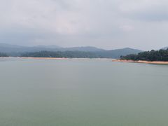 -广州市流溪河国家森林公园