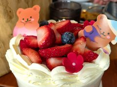 -奇帕波·披萨&炸鸡(诺和木勒站店)