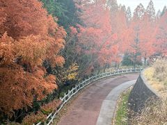 -神户市立六甲山牧场