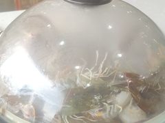 -王潮活海鲜自助·蒸汽海鲜