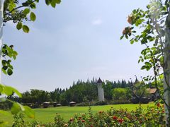 -东平国家森林公园