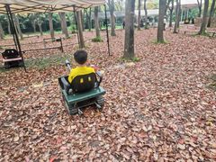 -嘉北郊野公园