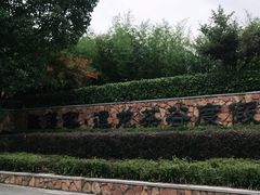 -帐篷客·溪龙茶谷度假酒店