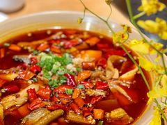 极品毛血旺-节节香.成都非遗肥肠粉(总店)