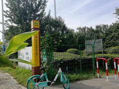 门面-长白岛森林公园