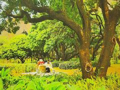 -荔香公园
