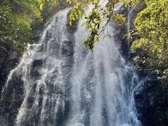 -马峦山郊野公园