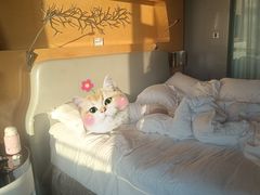 -青岛银沙滩温德姆至尊酒店