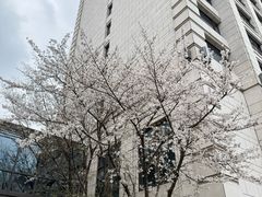 -杭州城中香格里拉大酒店