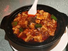-陈麻婆豆腐总店