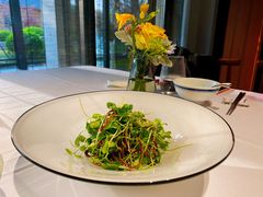 香椿豆苗腐丝-禧宴Joyous Restaurant(禧园店)