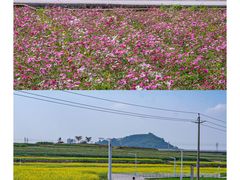 -光明小镇欢乐田园