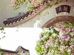 -深圳国际园林花卉博览园