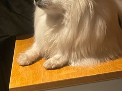 -TINY