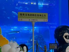 -成都浩海立方海洋公园