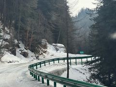 -芦芽山旅游度假区