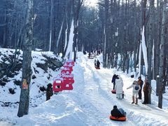 -洛阳白云山景区