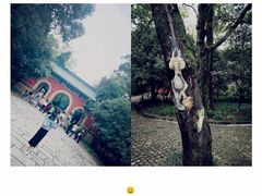 -灵谷景区