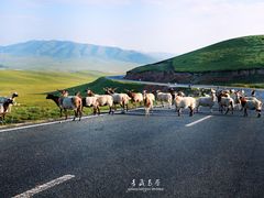 -青海湖国家重点风景名胜区
