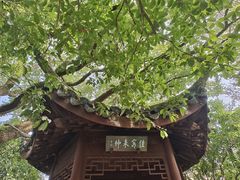 -上海醉白池公园