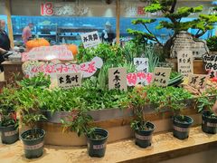 -田园印象·成都土菜院子(华阳店)