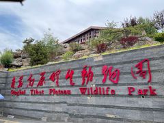 -青藏高原野生动物园