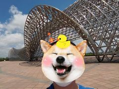 -南汇嘴观海公园