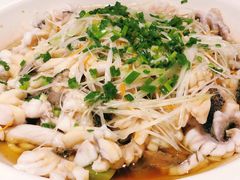 黑鱼花-三猫黑鱼花(南大店)
