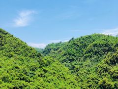 -川西竹海景区