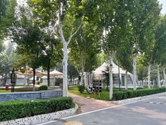 -九十九顶毡房(阜石路店)