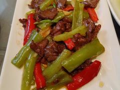 -新锦鸿(演达店)