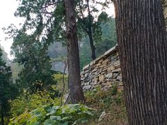 -北京上方山国家森林公园