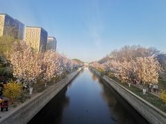 -海棠花溪(元大都城垣遗址公园)