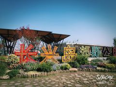 -上海长兴岛郊野公园