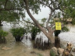 -宝安西湾红树林湿地公园