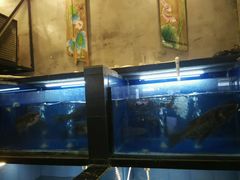 android_upload_pic-探烧自助烤肉火锅(百易店)