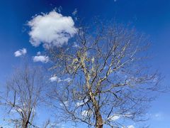 -硗碛藏寨·神木垒景区