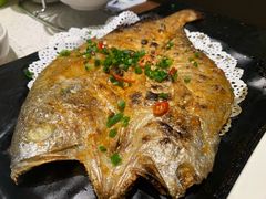 -九府羊·鲜羊火锅·烤串(新华路店)