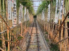 -新地休闲农场