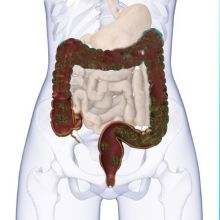 点击看大图 -薇薇安花系SPA