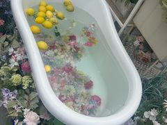 -京北渔家傲