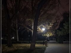 -玲珑塔公园