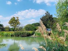 -木守西溪溪隐餐厅